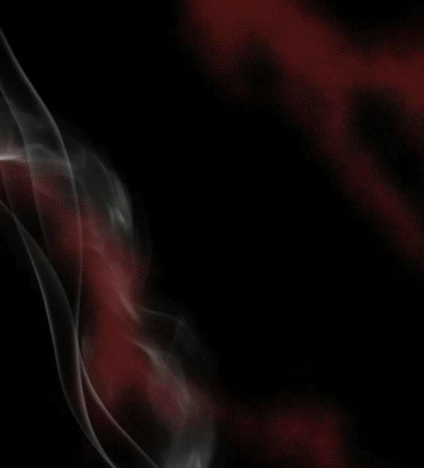 80 EL DIARIO DE SUPERVIVENCIA DEL SECRETARIO DEL TOP OBSESIVO