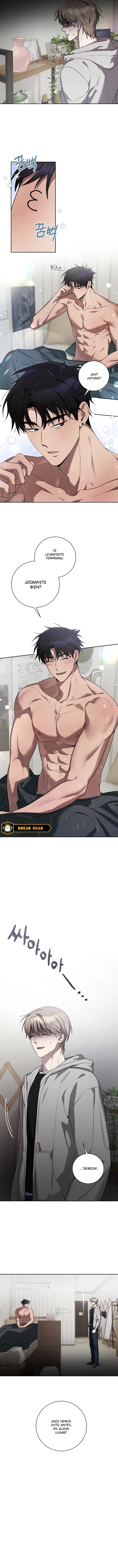 8 Mi pequeño biscocho