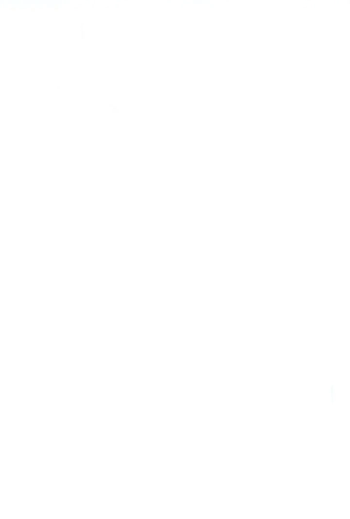 9 El hijo menor esconde muchos secretos