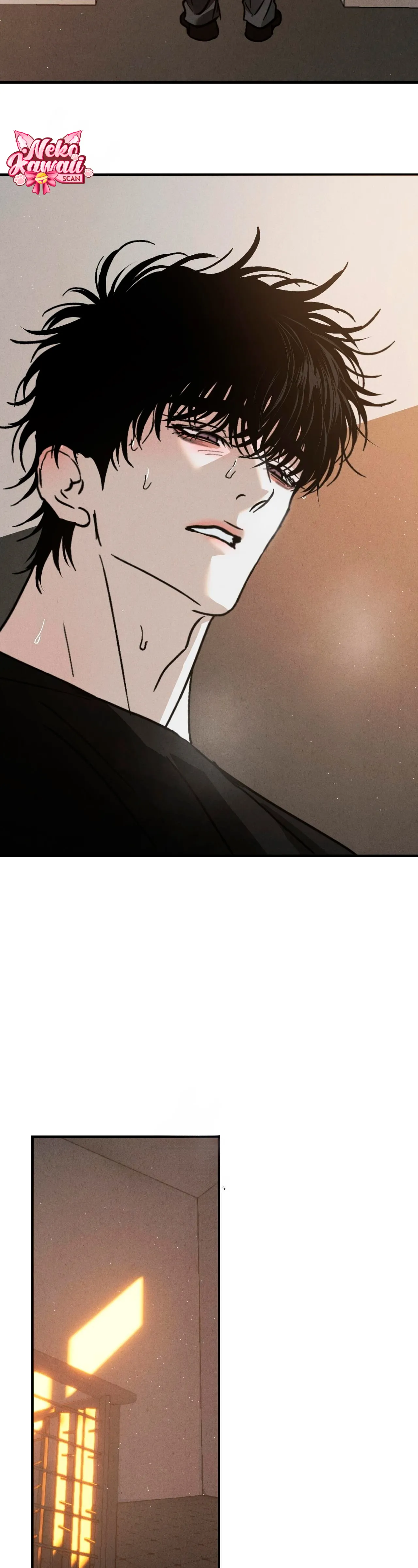 47 Un XX con muchos secretos