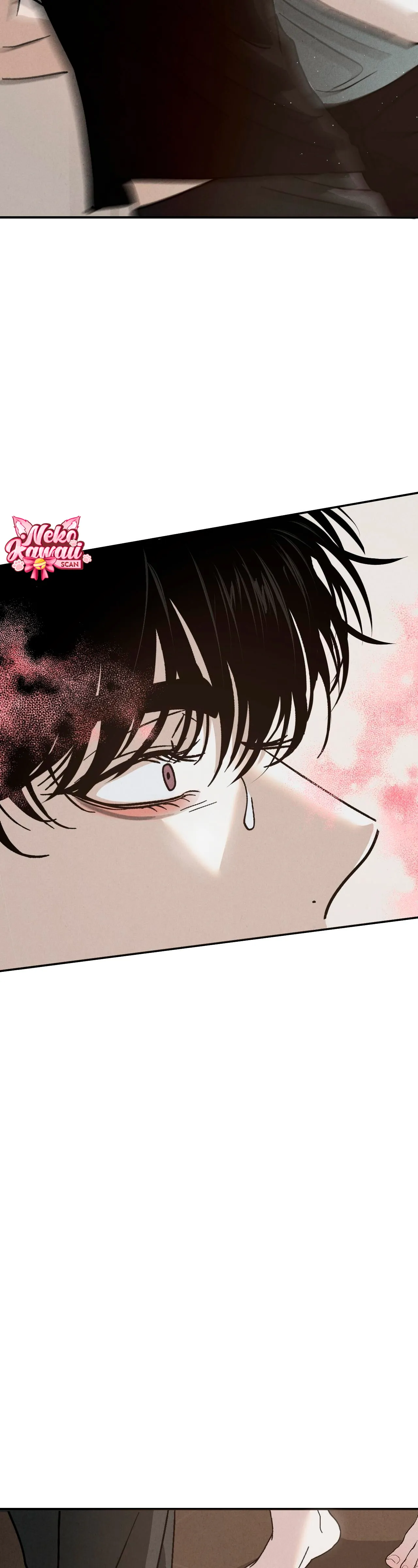 51 Un XX con muchos secretos