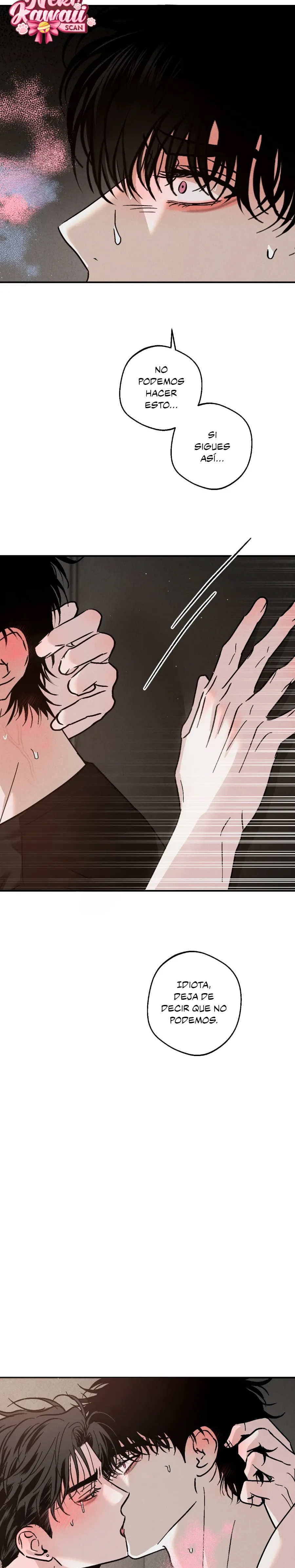 14 Un XX con muchos secretos