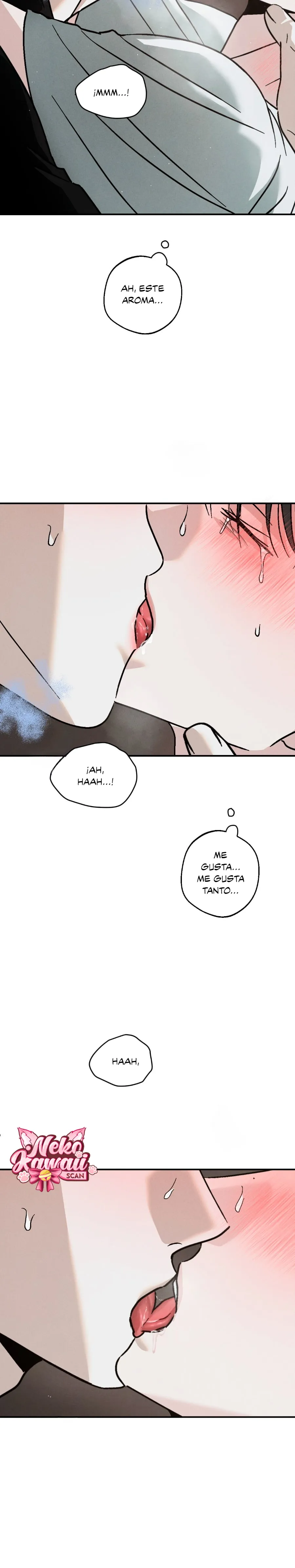 17 Un XX con muchos secretos