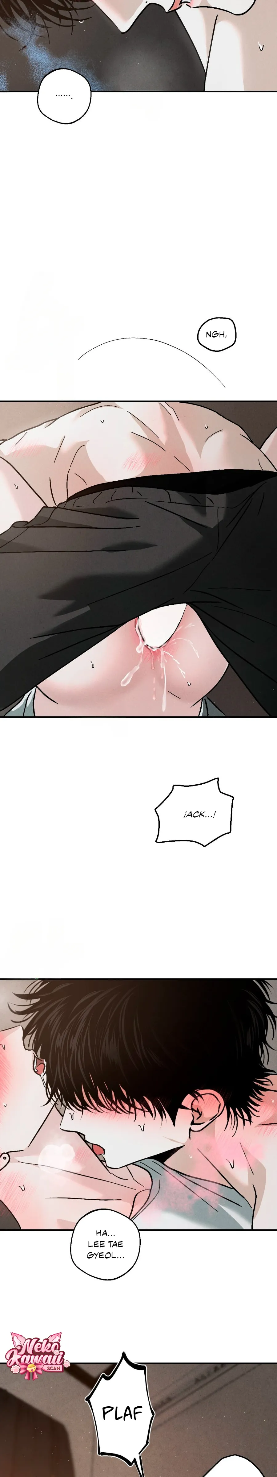 14 Un XX con muchos secretos