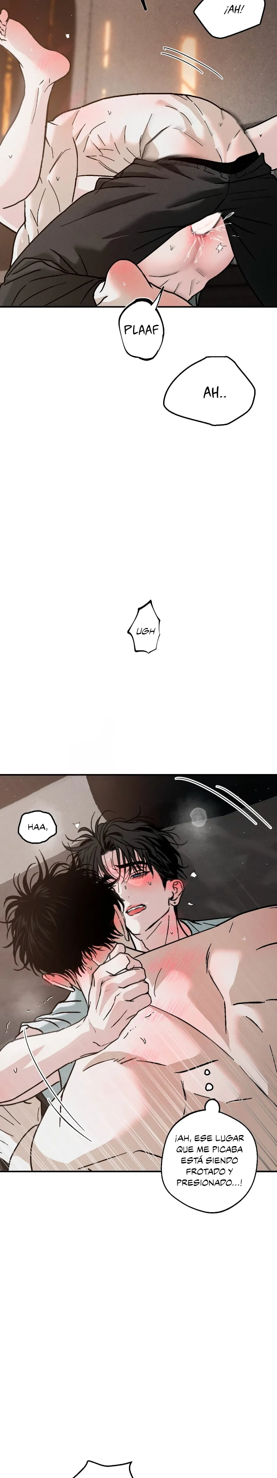 15 Un XX con muchos secretos