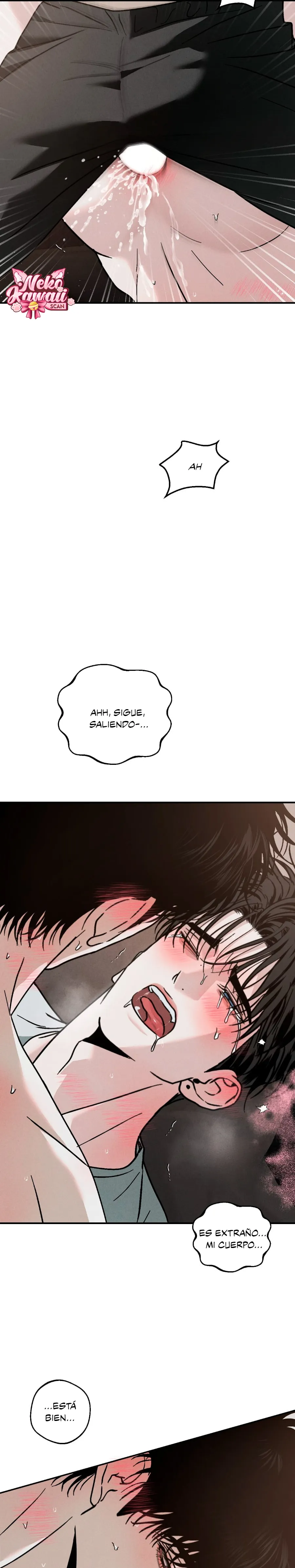 17 Un XX con muchos secretos