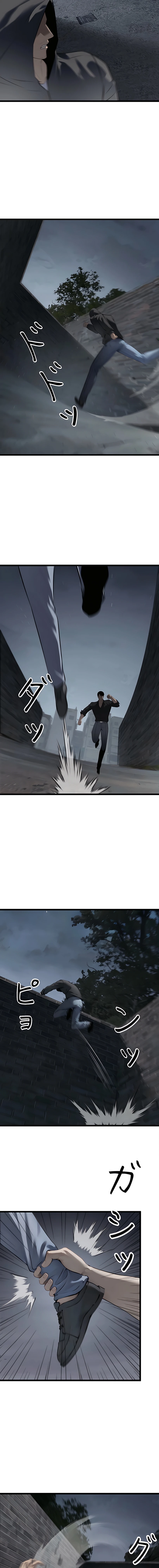 6 Nacido De La Traición