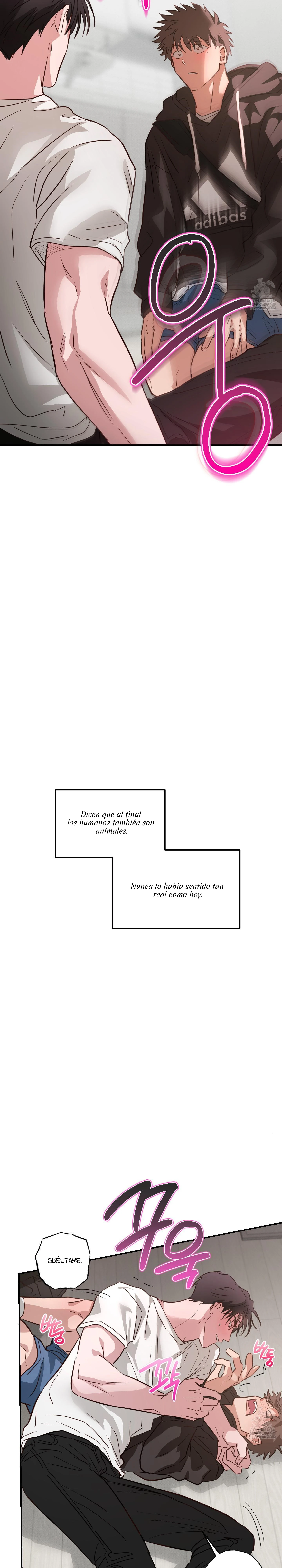 16 Allanamiento de morada