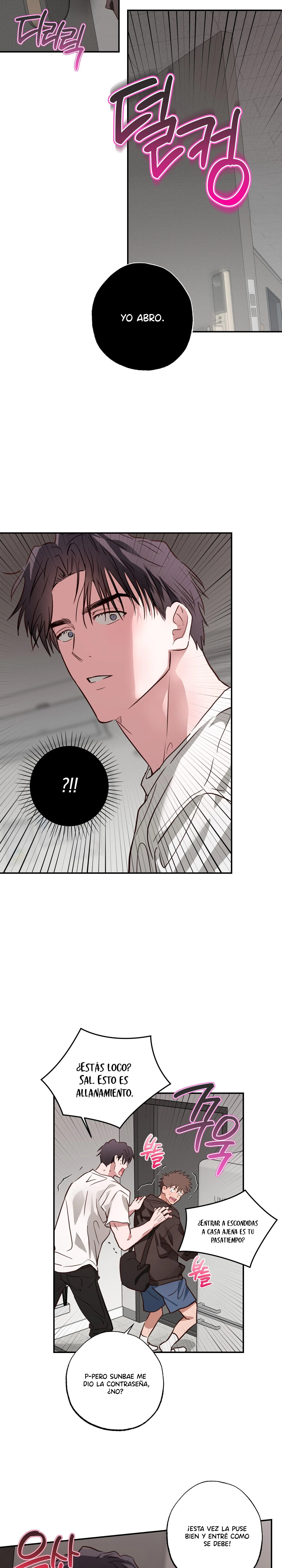 4 Allanamiento de morada