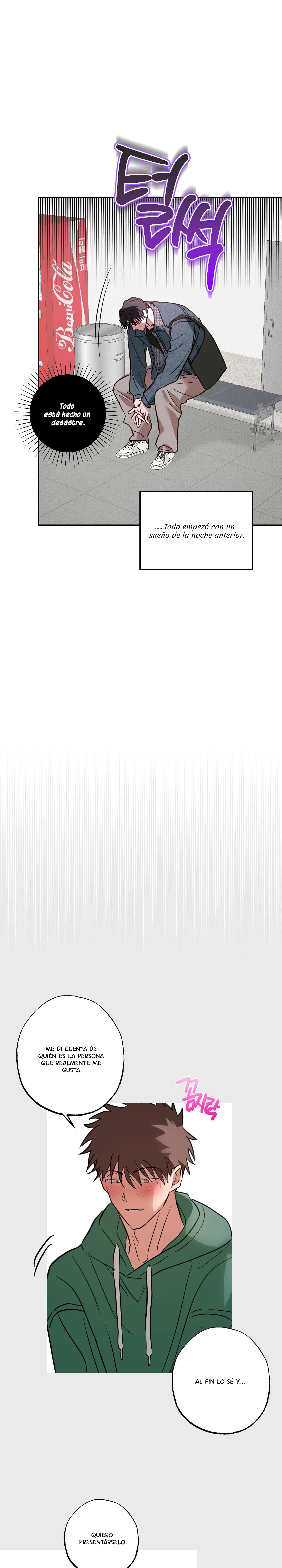 17 Allanamiento de morada