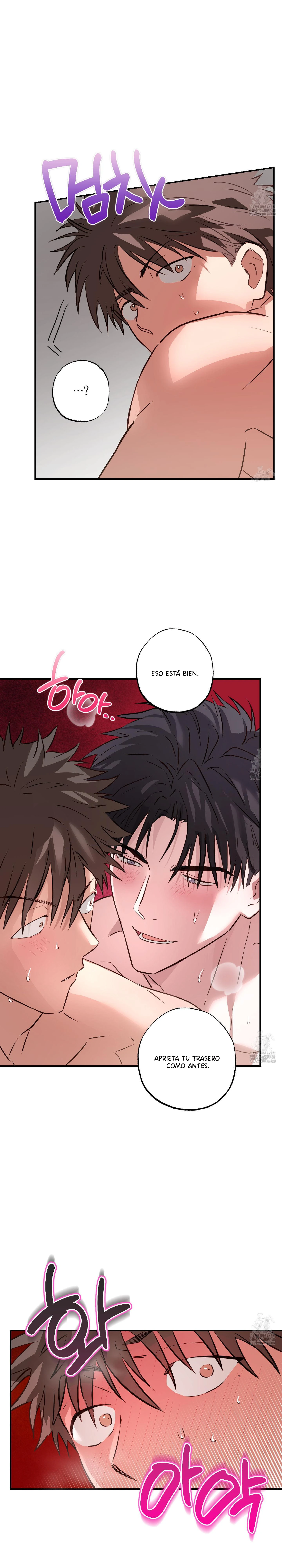 13 Allanamiento de morada