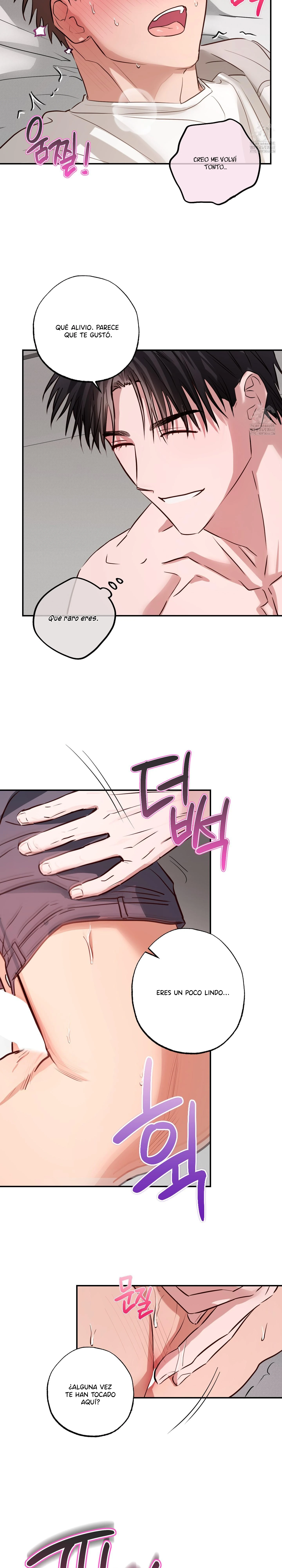 17 Allanamiento de morada