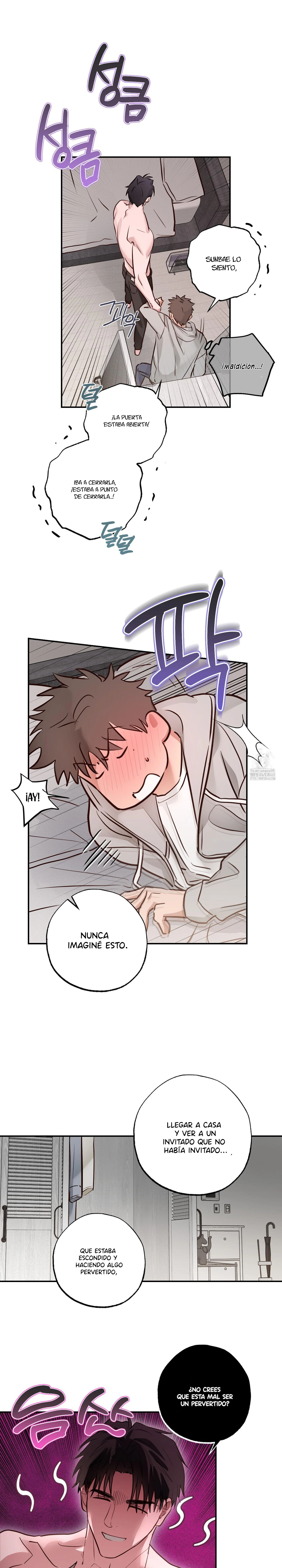 13 Allanamiento de morada