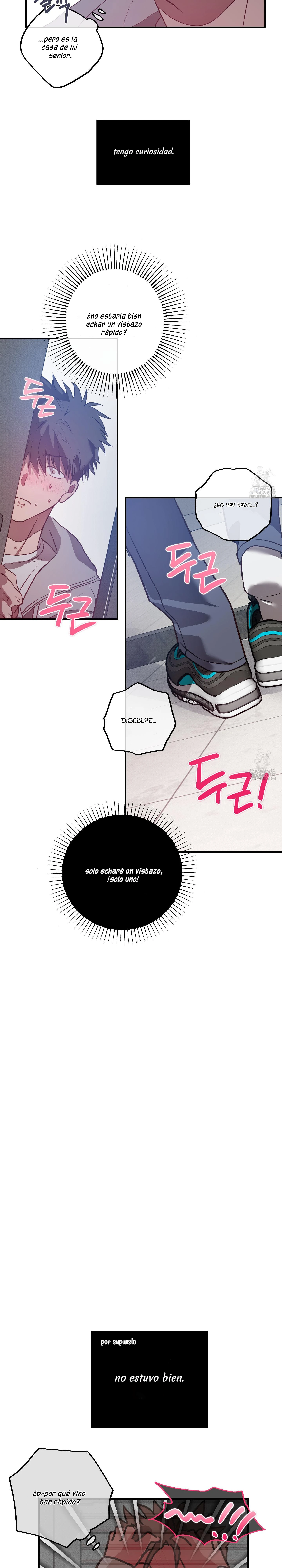 4 Allanamiento de morada