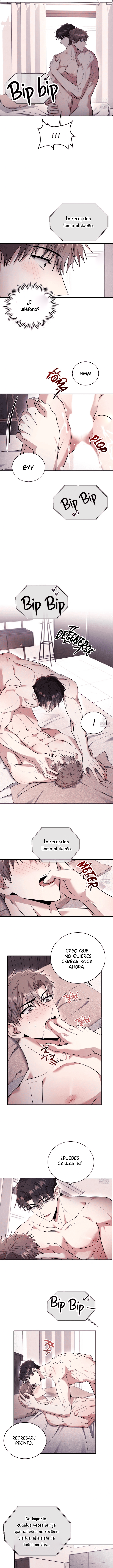 8 ¿Espeluznante? ¡Amargo o dulce!