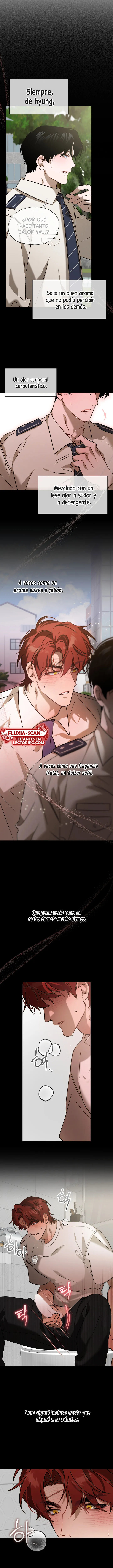 11 Precaución: zona de accidentes frecuentes