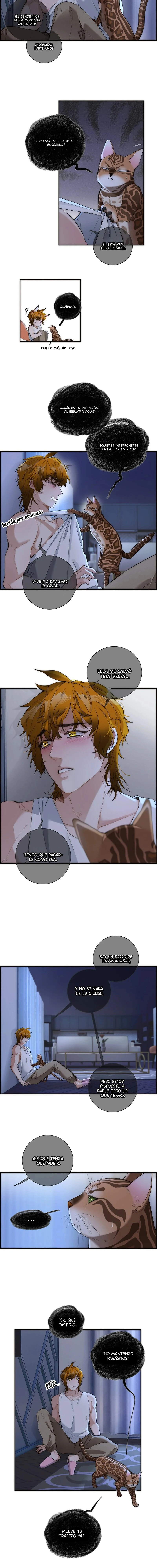 5 Mi benefactor no es un buen escritor