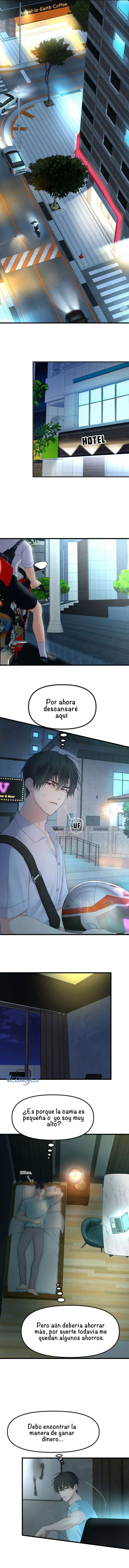 6 1 año irresistible