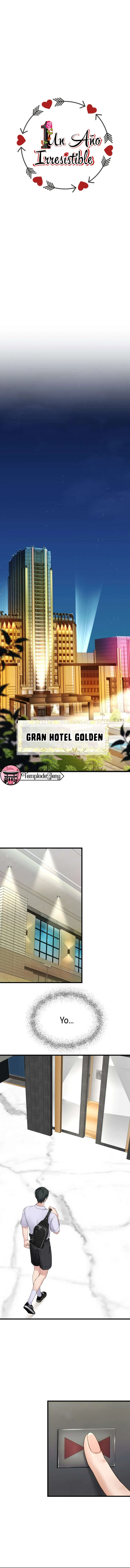 1 1 año irresistible