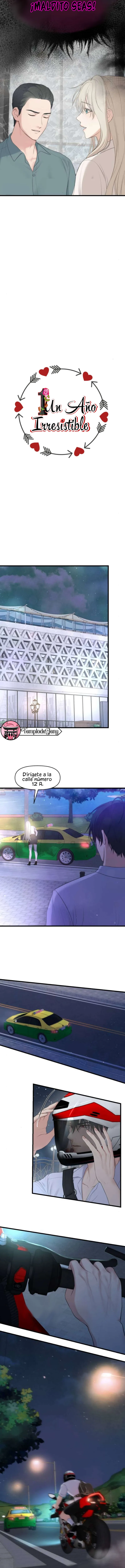 3 1 año irresistible