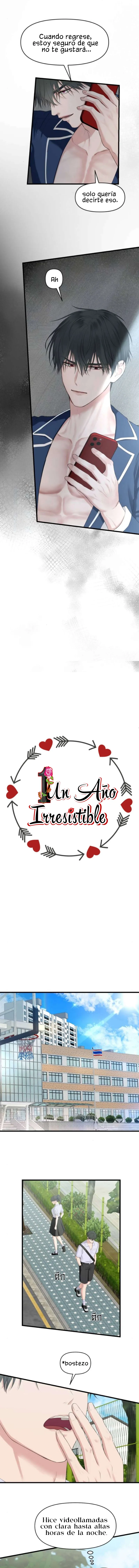 1 1 año irresistible