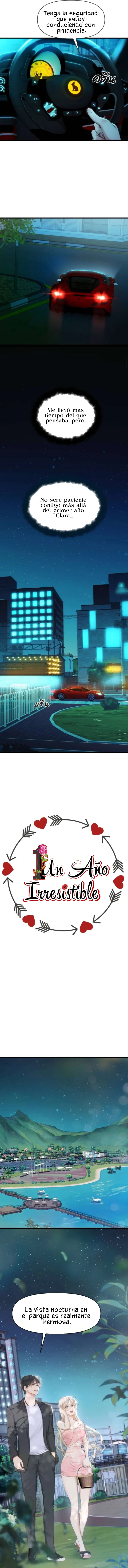 1 1 año irresistible