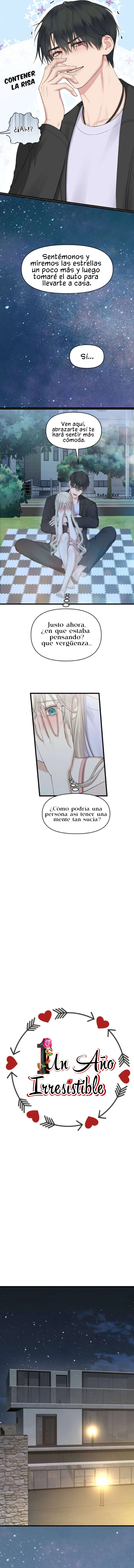 1 1 año irresistible