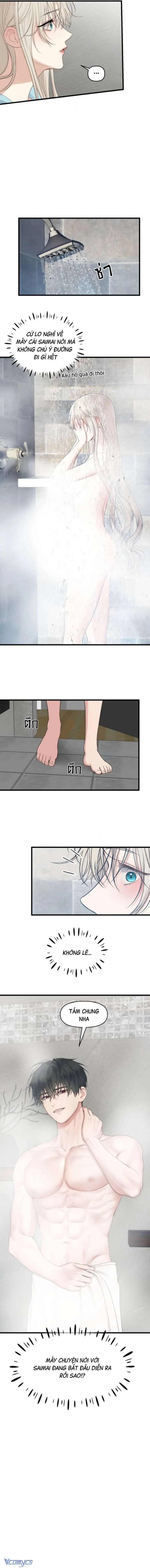 8 1 año irresistible