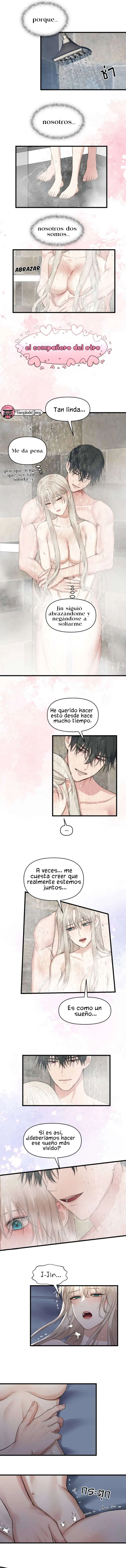 1 1 año irresistible