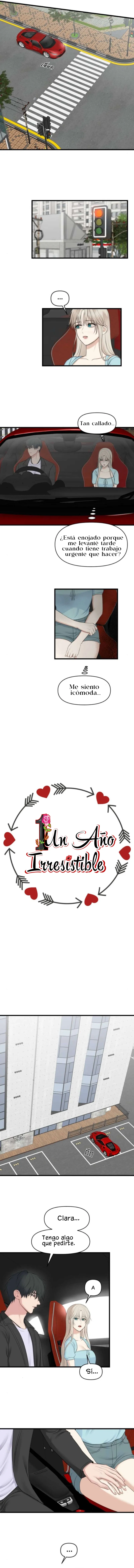 1 1 año irresistible