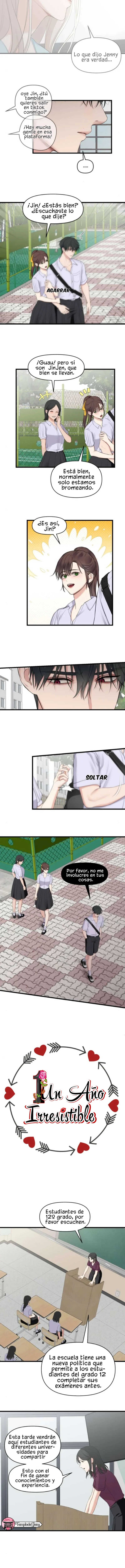 1 1 año irresistible