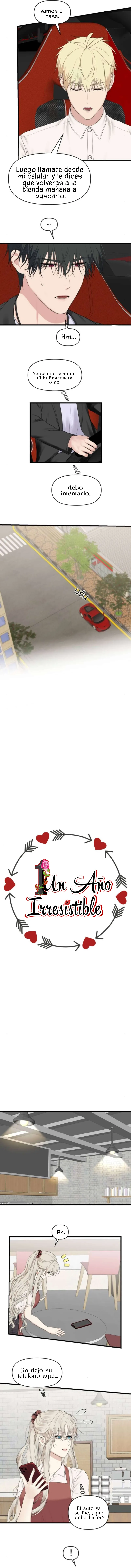 1 1 año irresistible