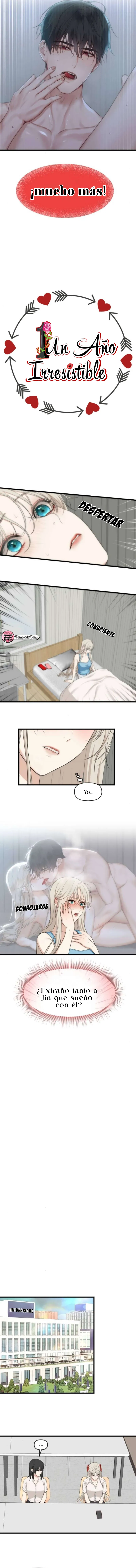 1 1 año irresistible