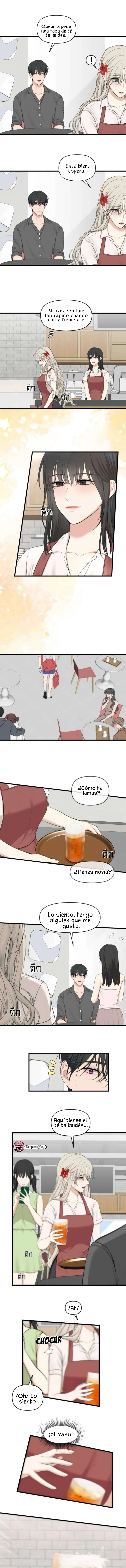 4 1 año irresistible