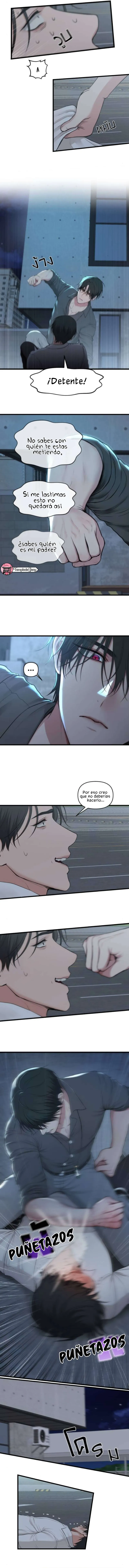 1 1 año irresistible