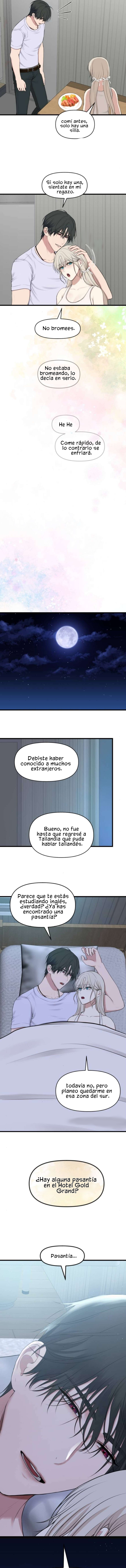 6 1 año irresistible