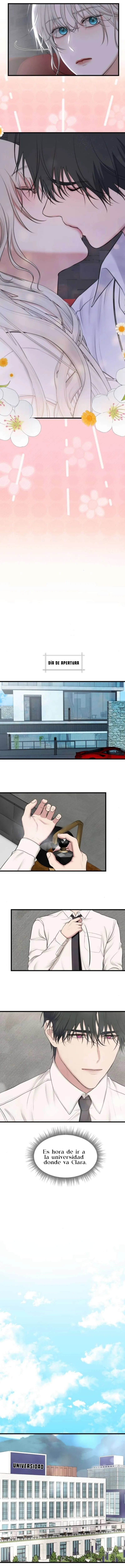 7 1 año irresistible