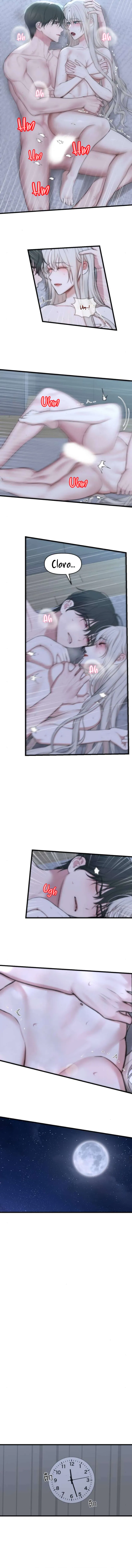 3 1 año irresistible