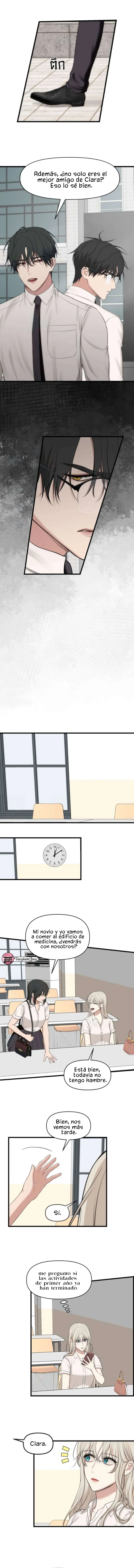 1 1 año irresistible