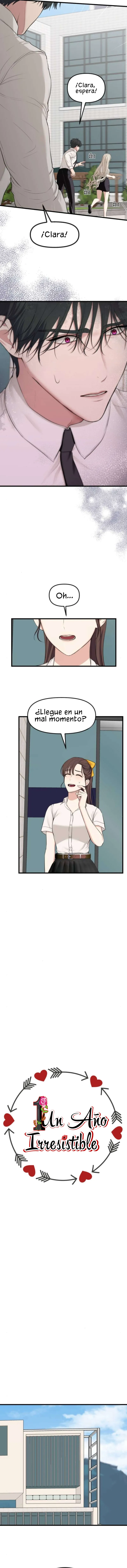 1 1 año irresistible