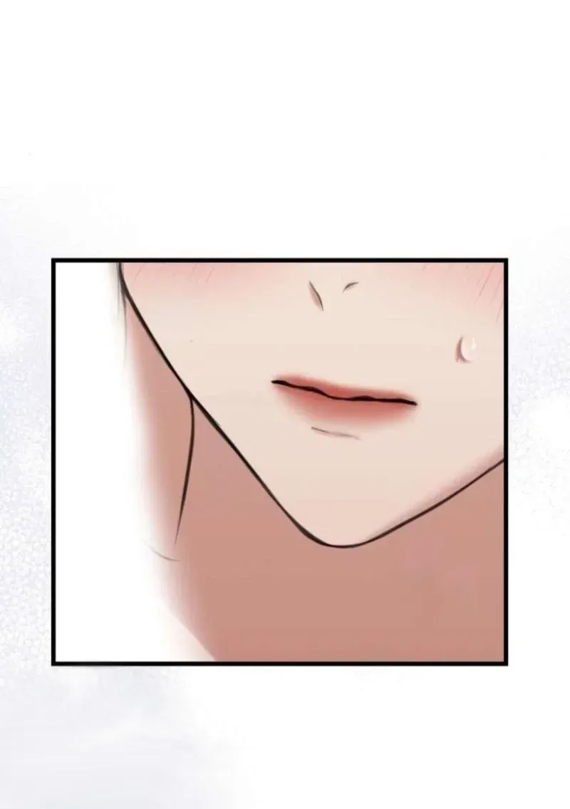 10 1 año irresistible