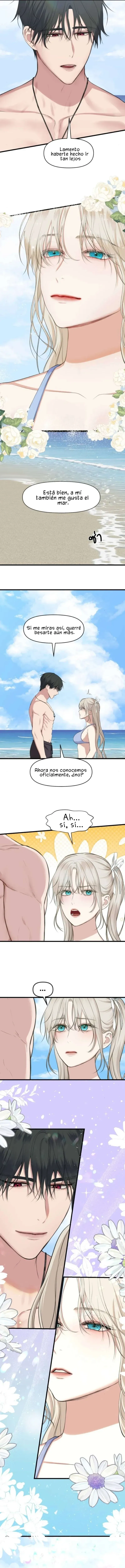 4 1 año irresistible