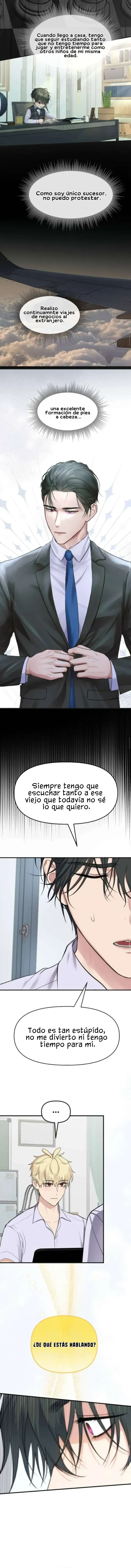 3 1 año irresistible