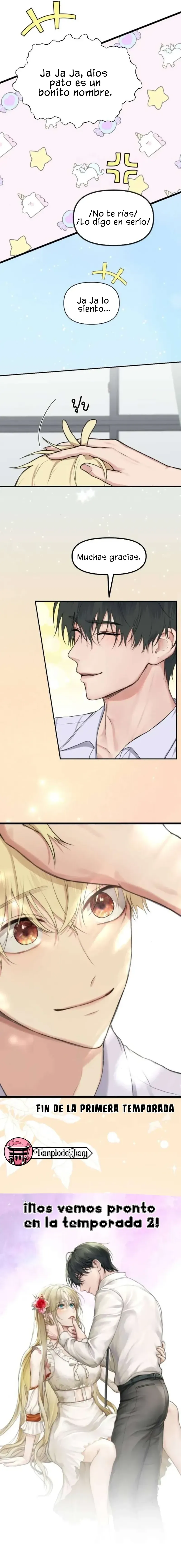 5 1 año irresistible