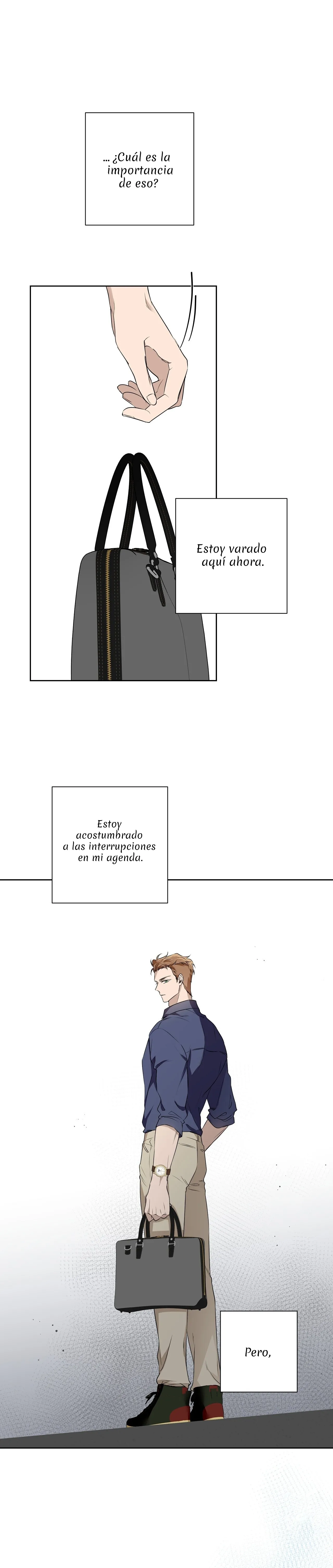 14 Un omega perfecto