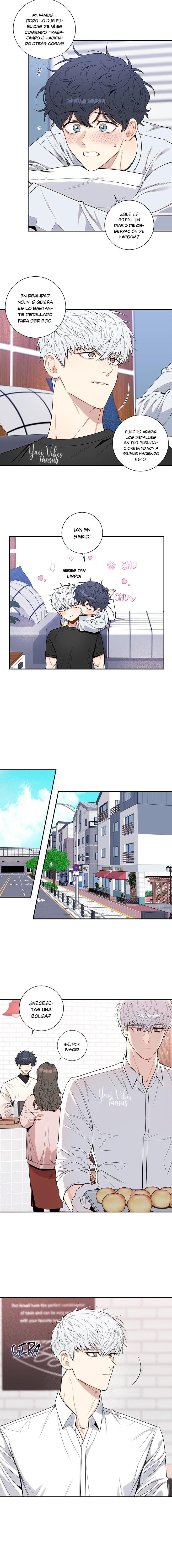 16 Flores de cerezo después del invierno T5