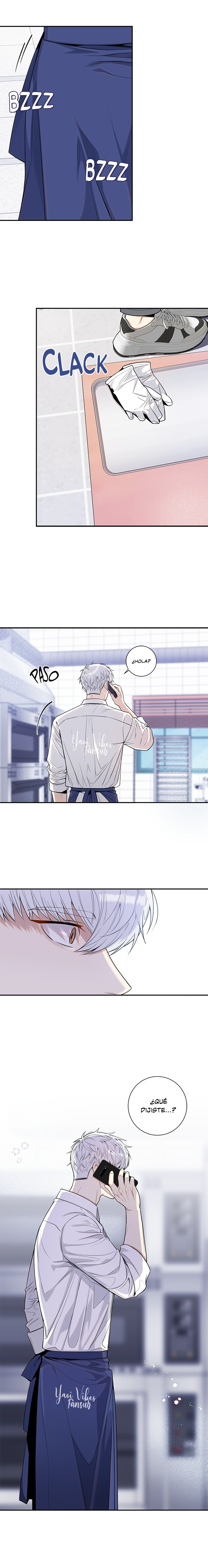 17 Flores de cerezo después del invierno T5