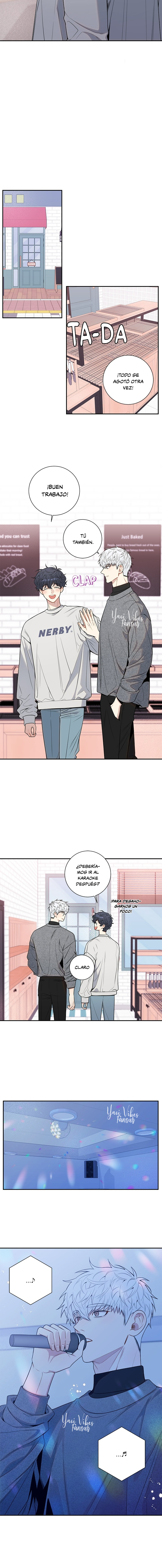 12 Flores de cerezo después del invierno T5