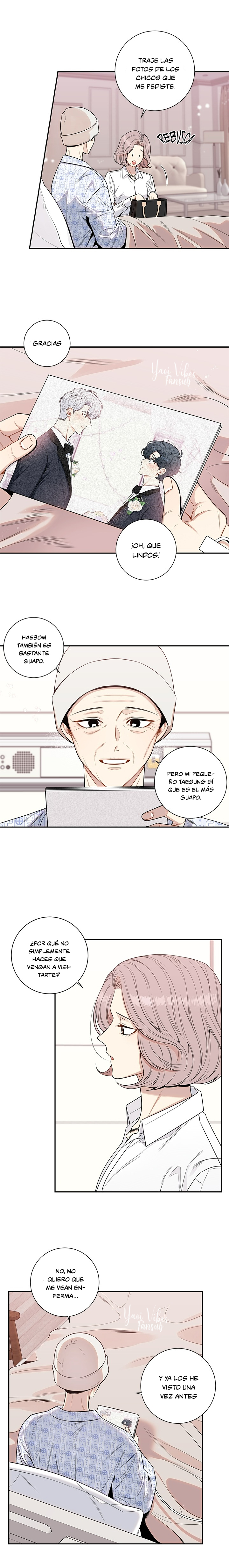 7 Flores de cerezo después del invierno T5