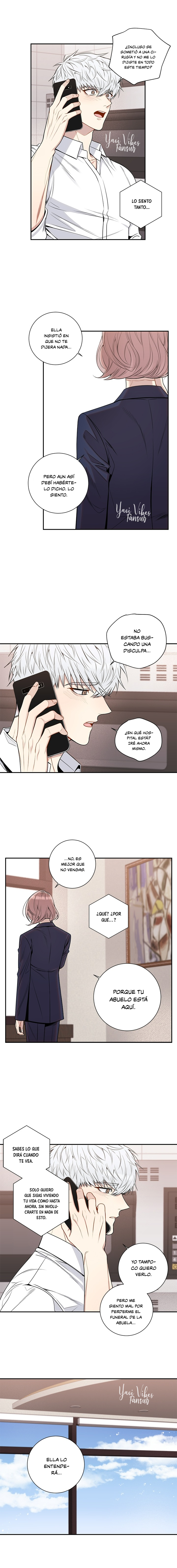 7 Flores de cerezo después del invierno T5